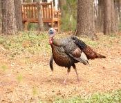 2014 04 27 WestwoodHills 008